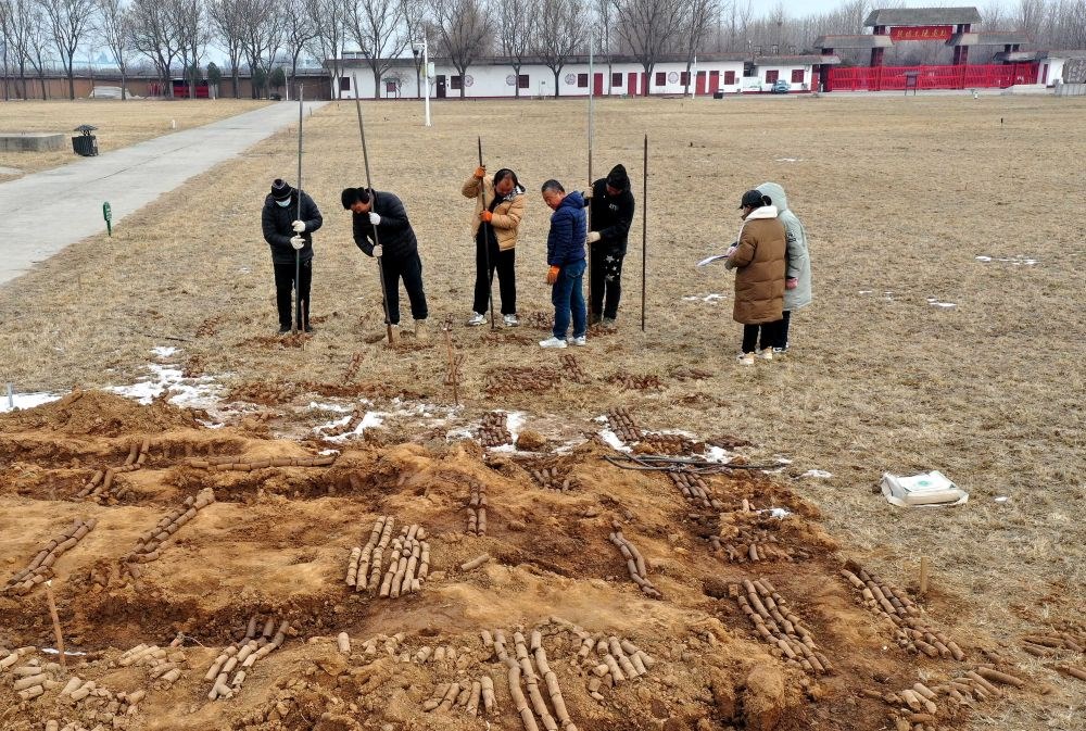 在殷墟王陵遺址，工作人員在勘探圍溝范圍（2月24日攝）。