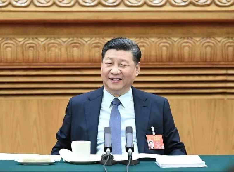 2019年3月8日，習近平參加十三屆全國人大二次會議河南代表團的審議。新華社記者 謝環(huán)馳 攝