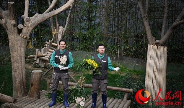 熊貓飼養(yǎng)員姜哲遠(yuǎn)和宋永寬向媒體介紹為“福寶”準(zhǔn)備的送別禮物。人民網(wǎng) 李帆攝
