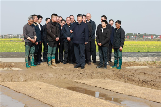 △ 2024年3月19日，習(xí)近平總書記來到湖南省常德市鼎城區(qū)謝家鋪鎮(zhèn)糧食生產(chǎn)萬畝綜合示范片區(qū)考察。