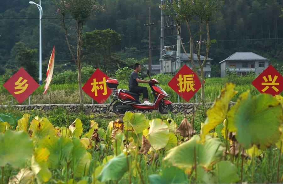 2023年8月24日拍攝的江西省靖安縣璪都鎮(zhèn)港背村一景。該村在當(dāng)?shù)卣С窒拢薰沤?，建民宿，搞開(kāi)發(fā)，引進(jìn)竹筏漂流、觀光采摘、農(nóng)耕體驗(yàn)、森林研學(xué)等多種旅游業(yè)態(tài)，建成新田園生態(tài)度假小鎮(zhèn)，發(fā)展鄉(xiāng)村旅游，走上致富路。