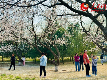 游客在北京長(zhǎng)陽(yáng)公園賞花。人民網(wǎng)記者 劉微攝