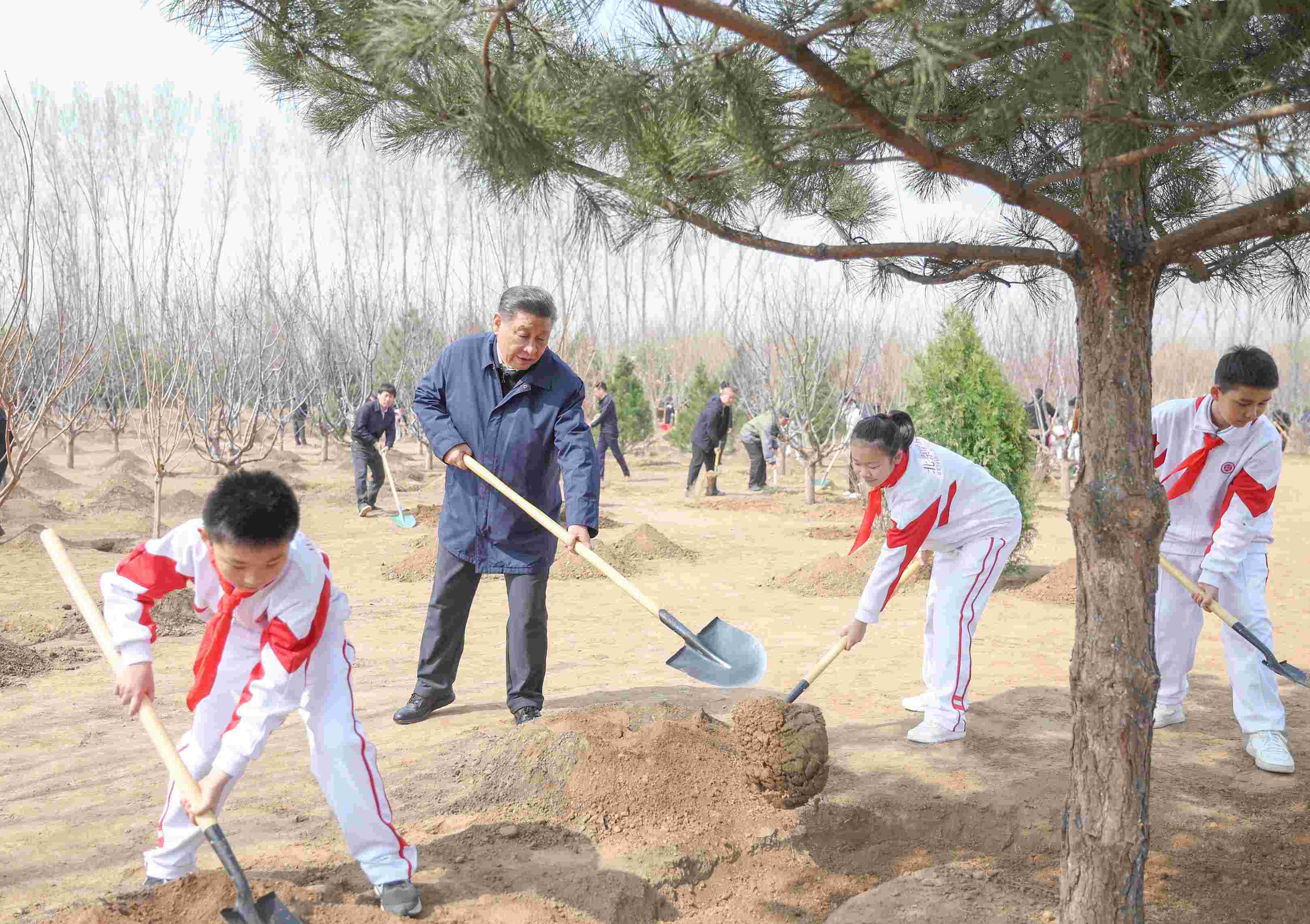 2024年4月3日，習(xí)近平總書記來到北京市通州區(qū)潞城鎮(zhèn)參加首都義務(wù)植樹活動。