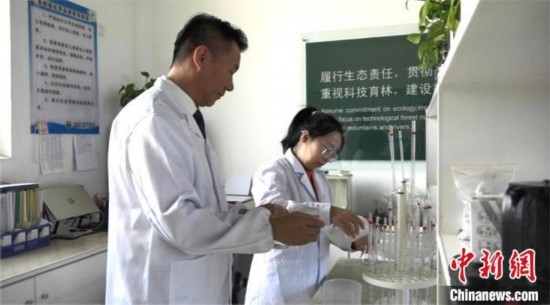 圖為王佐(左一)在廠區(qū)實(shí)驗(yàn)室內(nèi)工作。白先森 攝