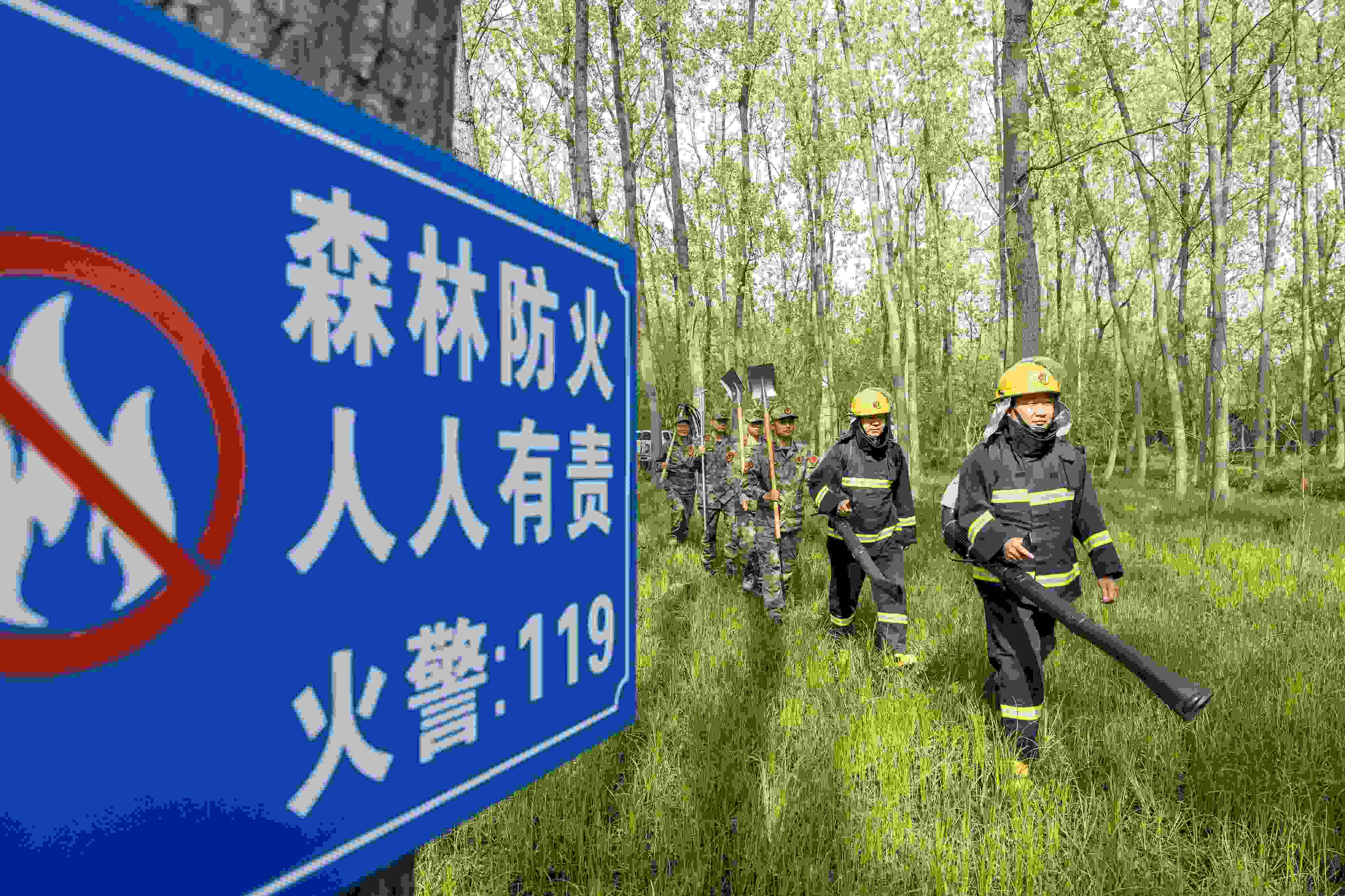 2024年4月9日，合肥市大房郢水庫水源保護(hù)地廬陽經(jīng)濟(jì)開發(fā)區(qū)段，基干民兵正在林間巡查火災(zāi)隱患。