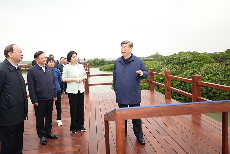 △2023年4月10日，習(xí)近平總書記在廣東湛江市麻章區(qū)湖光鎮(zhèn)金牛島紅樹林片區(qū)考察。