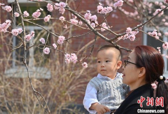 4月21日，游客在吉林大學南嶺校區(qū)賞花。張瑤 攝