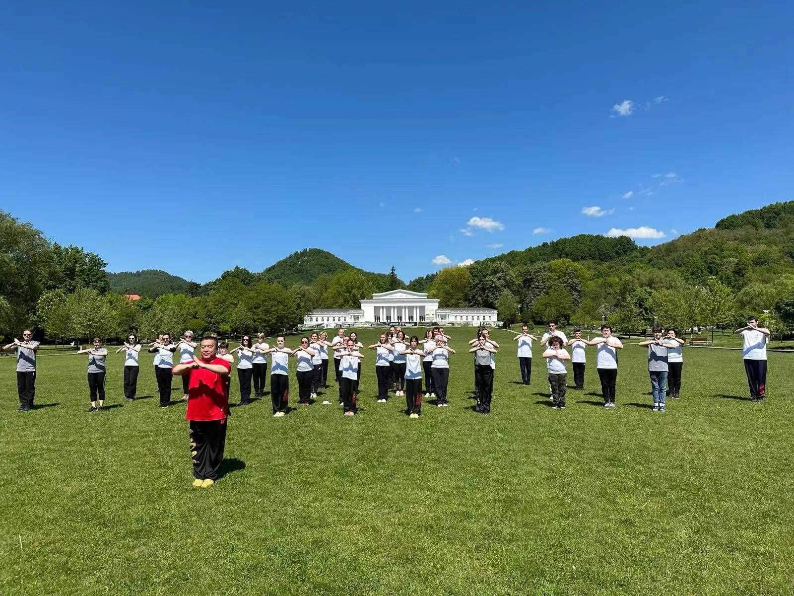 北京體育大學教授武冬帶領學員進行太極拳演練。布加勒斯特中國文化中心供圖