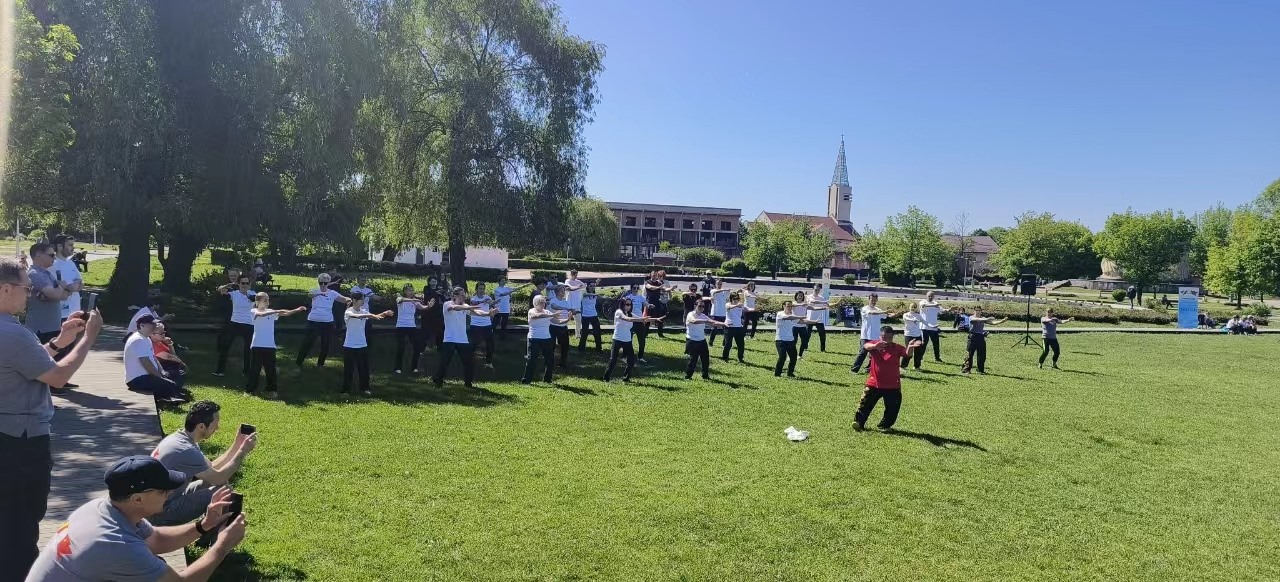 北京體育大學教授武冬做太極拳進階教學。布加勒斯特中國文化中心供圖
