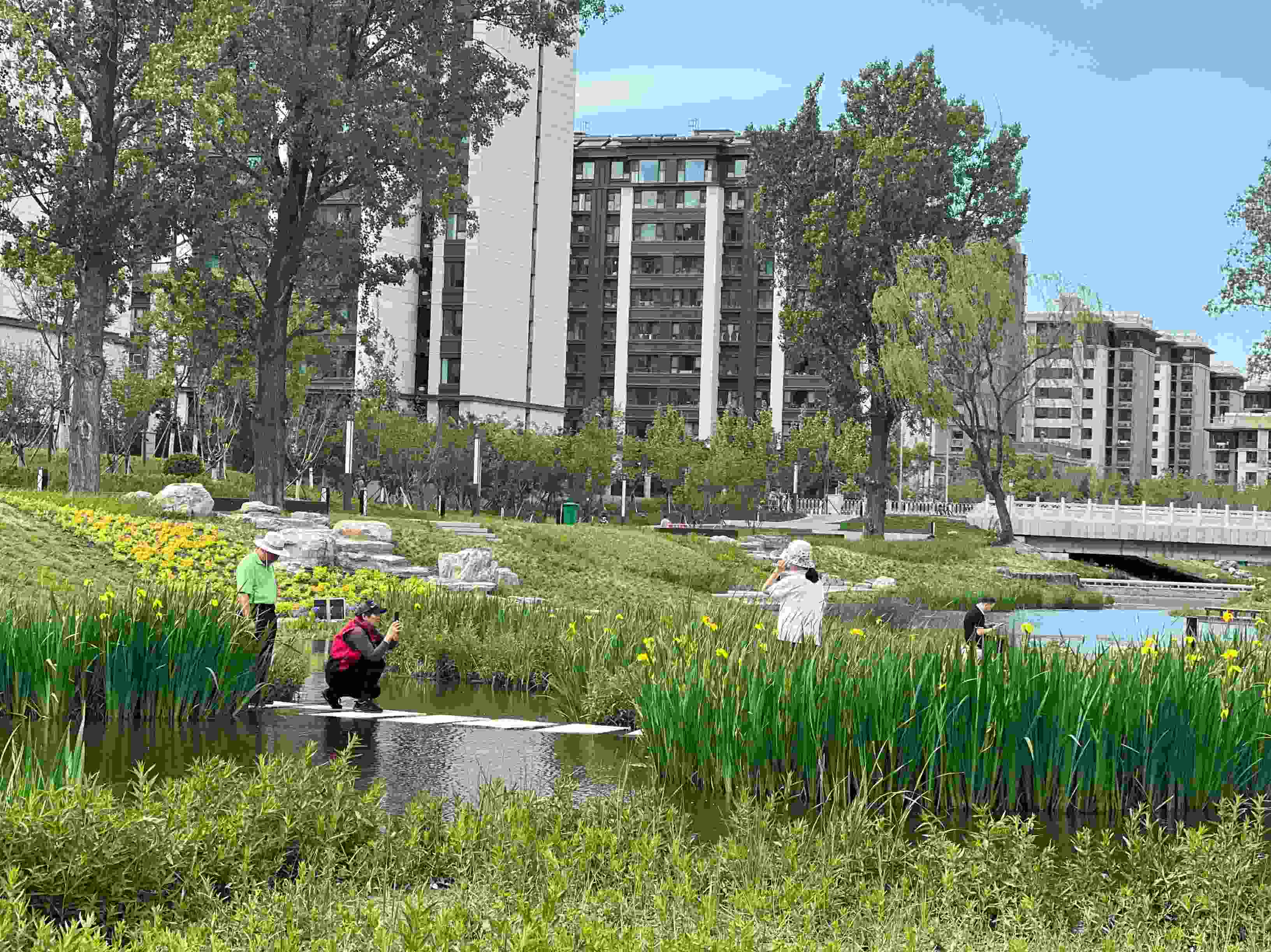 五一渠生態(tài)濱河公園內(nèi)，市民正在拍照留念。人民網(wǎng) 歐陽(yáng)易佳攝