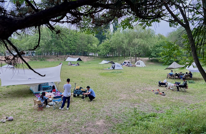 “自駕+露營”等多元模式受熱捧。人民網(wǎng)記者 王連香攝