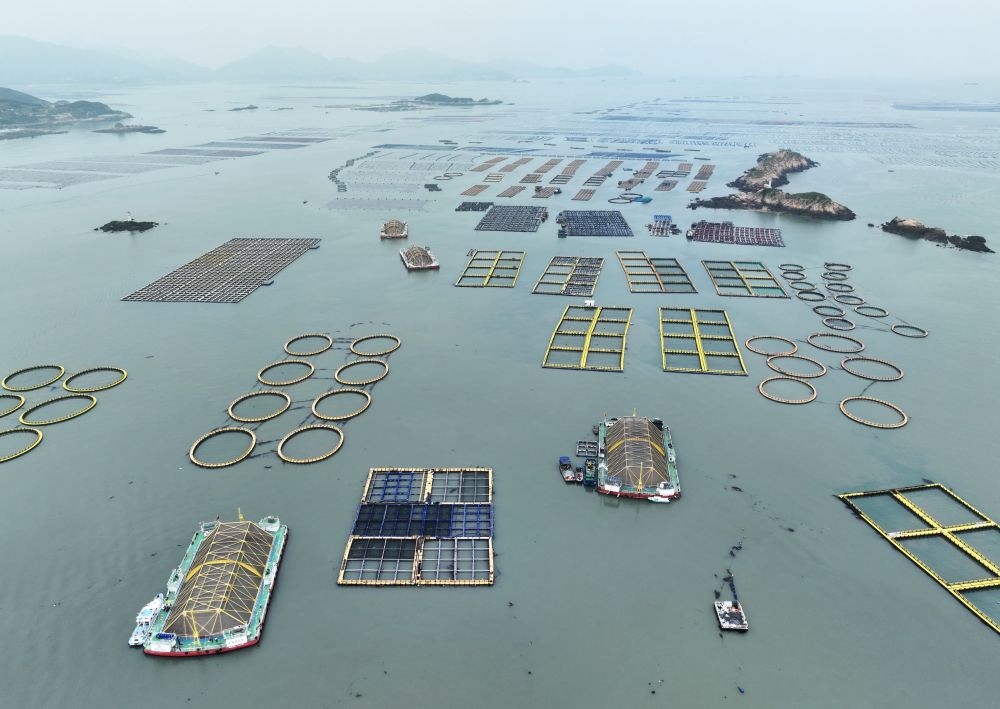 在福建連江定海灣海域，坐落著“定海灣1號”“定海灣2號”等深遠海養(yǎng)殖平臺（2024年5月7日攝，無人機照片）。新華社記者 林善傳 攝
