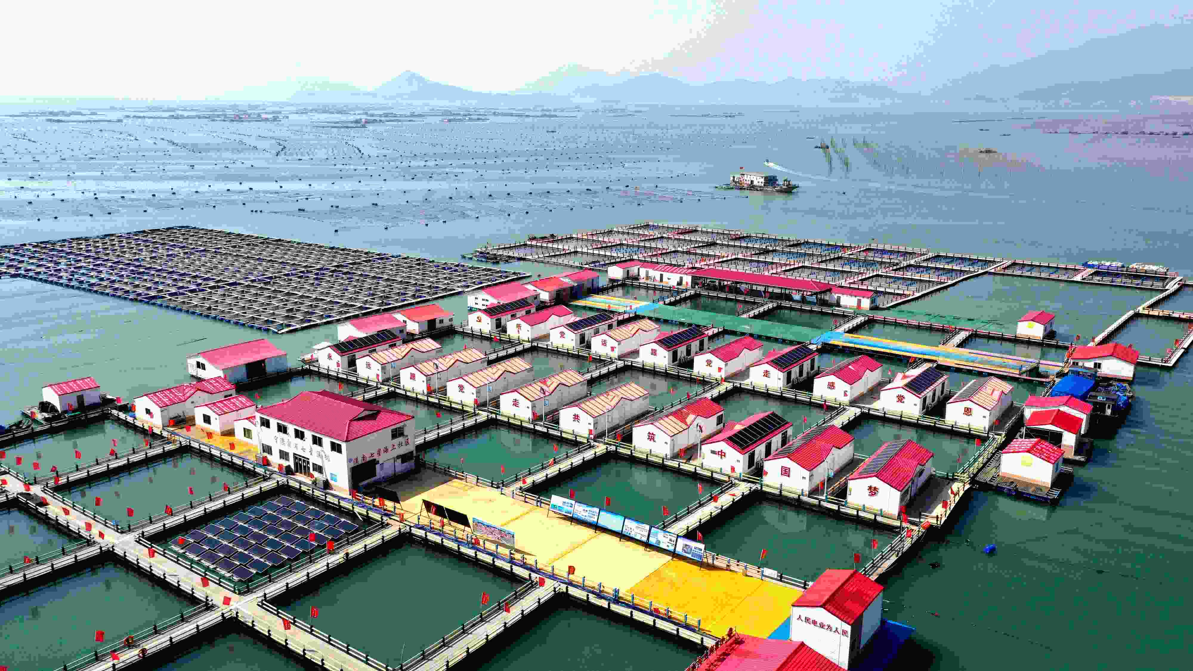2024年3月20日，福建省寧德市，霞浦縣溪南鎮(zhèn)七星村漁排養(yǎng)殖示范區(qū)，漁民駕駛養(yǎng)殖船進(jìn)行海參養(yǎng)殖作業(yè)。