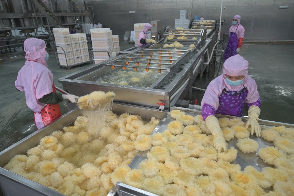2024年5月10日，在福建省寧德市古田縣，一家食品公司的工作人員在挑選清洗銀耳。新華社記者 林善傳 攝
