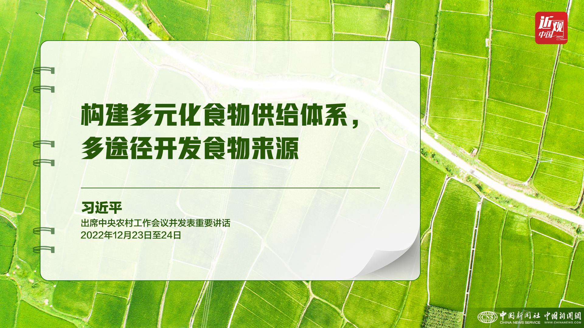 習(xí)近平：樹立大食物觀，構(gòu)建多元化食物供給體系