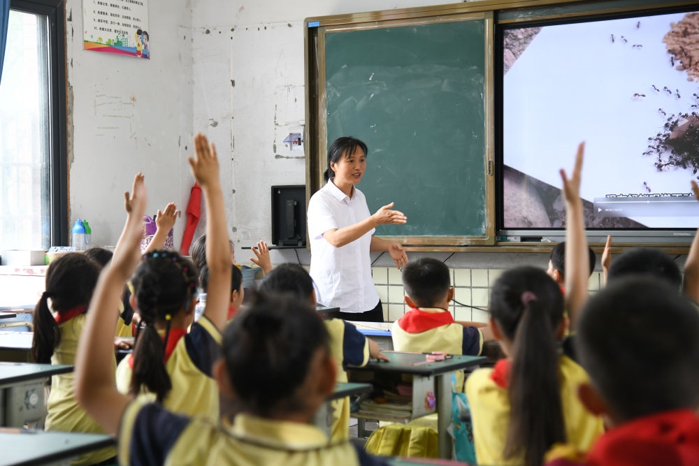 5月31日，學生在科學課上與老師互動。