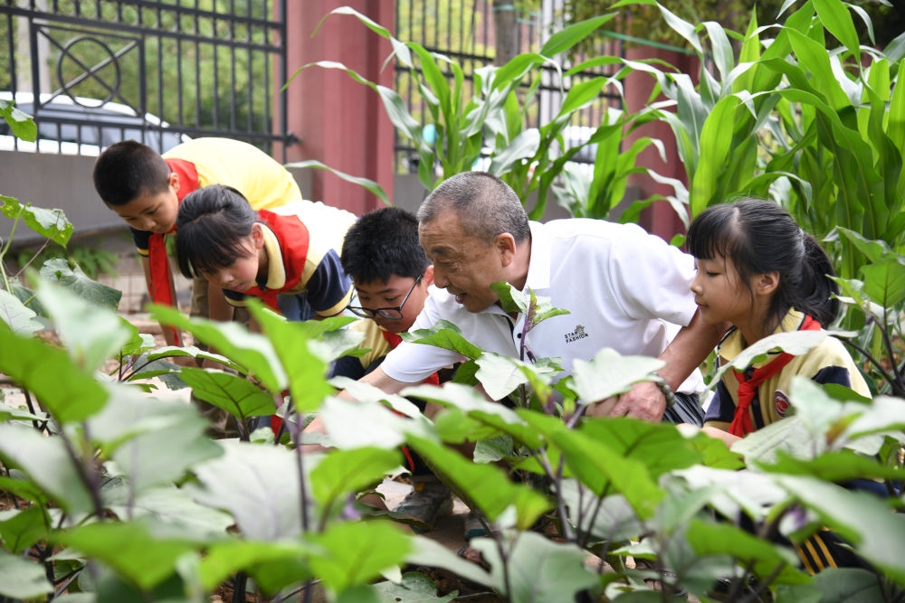 5月31日，老師帶領(lǐng)學(xué)生在之江小學(xué)勞動(dòng)實(shí)踐基地學(xué)習(xí)蔬菜知識(shí)。新華社記者 胥冰潔 攝