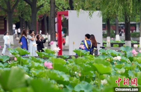 6月19日，時(shí)值一年畢業(yè)季，四川大學(xué)望江校區(qū)荷花池里的荷花盛開(kāi)，成為了畢業(yè)生們的打卡圣地，吸引了眾多畢業(yè)生拍照留念。圖為畢業(yè)生在荷花池邊拍照留念。中新社記者 安源 攝