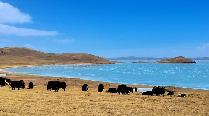 在三江源國家公園黃河源園區(qū)拍攝的扎陵湖風(fēng)光（2022年3月12日攝）。新華社記者 呂雪莉 攝