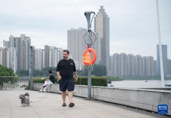 7月20日，在安徽蕪湖市，馬丁在長(zhǎng)江邊遛狗。新華社記者 傅天 攝