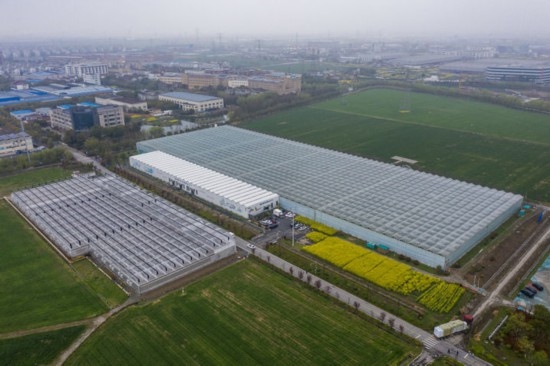 2024年3月28日，空中俯瞰嘉興南湖區(qū)湘家蕩農(nóng)業(yè)數(shù)字化工廠（無人機照片）。該農(nóng)業(yè)數(shù)字化工廠占地總面積約62畝，包含智慧農(nóng)業(yè)生產(chǎn)、物聯(lián)網(wǎng)智能管理、自動分揀包裝、保鮮儲藏物流、高科技示范展示等五大功能區(qū)，可直接或間接培養(yǎng)帶動新型職業(yè)技術(shù)農(nóng)民500人以上。新華社記者 徐昱 攝