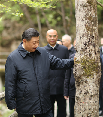 2020年4月，習(xí)近平總書記來到位于商洛市柞水縣的秦嶺牛背梁國家級自然保護(hù)區(qū)，考察秦嶺生態(tài)保護(hù)情況。新華社記者 鞠鵬 攝