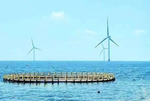 △山東萊州風(fēng)電項(xiàng)目實(shí)現(xiàn)了海上風(fēng)電和海洋牧場融合發(fā)展。