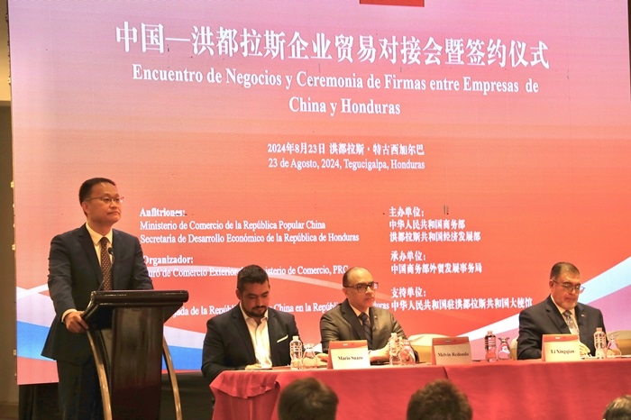 中國商務部外貿司司長李興乾發(fā)表講話。埃內斯托·多明戈斯攝