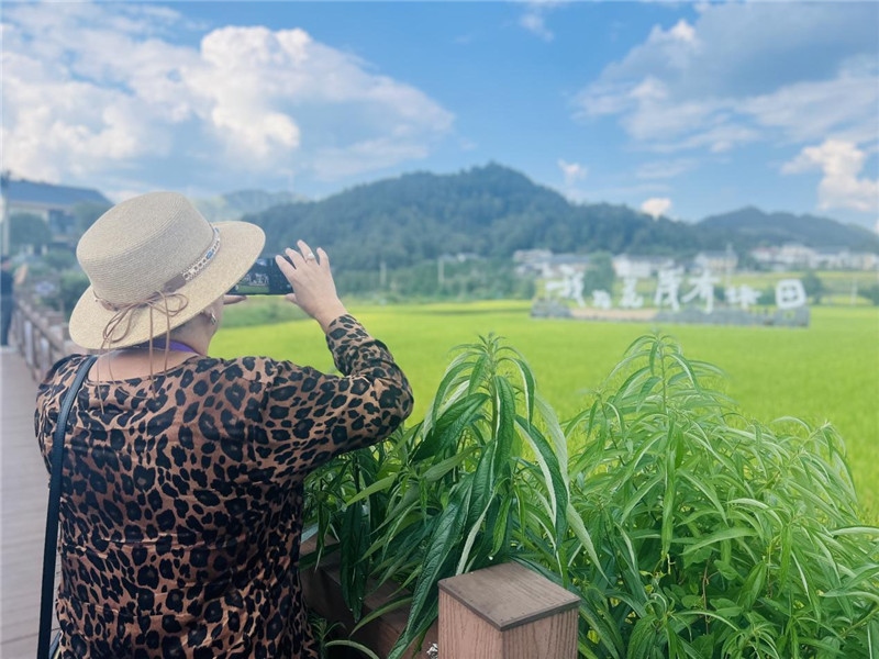 “我在花茂有塊田”，不僅是中國(guó)人的詩(shī)和遠(yuǎn)方，也是塔吉克斯坦“阿維斯塔”通訊社總編輯占納特洪·庫(kù)爾班諾娃的“烏托邦”。（張亞欣攝）