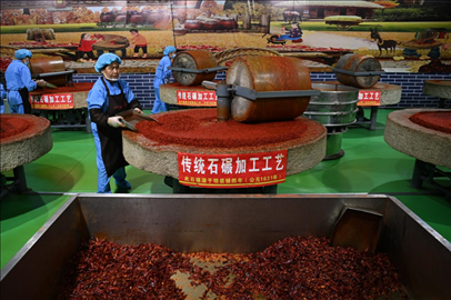 工人用電動(dòng)石碾加工辣椒面。新華社記者 范培珅 攝