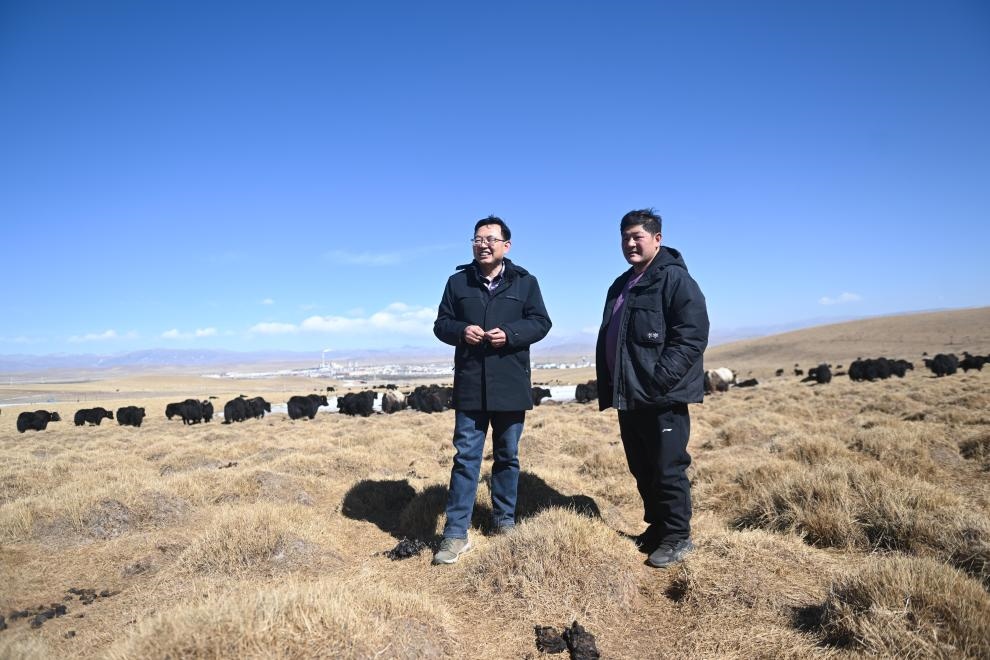 2023年2月24日，在青海省海北藏族自治州海晏縣青海湖鄉(xiāng)達(dá)玉日秀村，全國人大代表董全民（左）查看牧民東知布家的草場。新華社記者 張龍 攝
