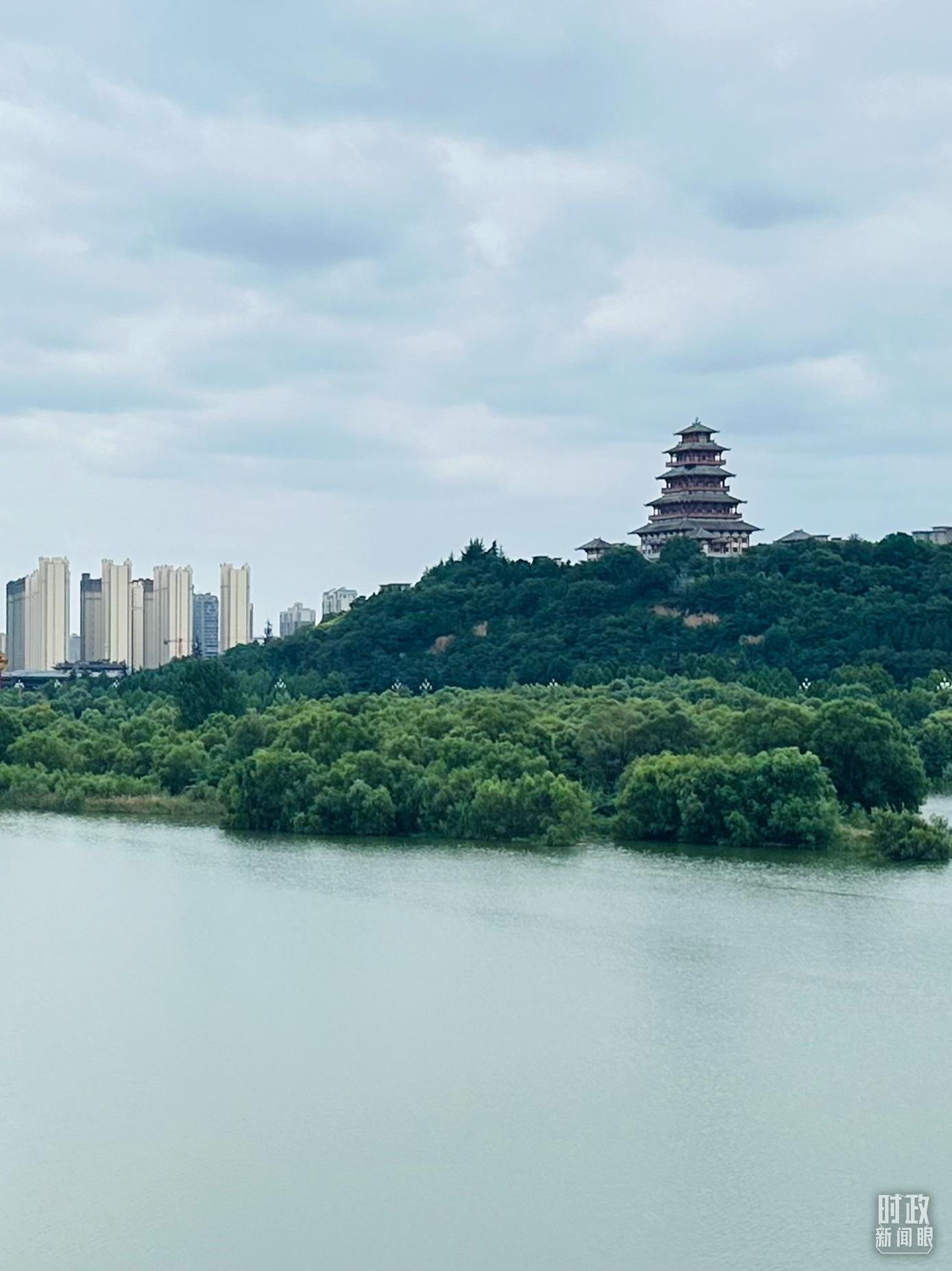 △渭河寶雞段長224公里，目前建成17處渭河灘區(qū)生態(tài)涵養(yǎng)區(qū)。（總臺央視記者范一鳴拍攝）