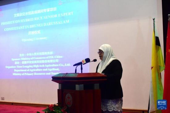 10月26日，文萊初級(jí)資源與旅游部常任秘書圖蒂亞蒂在斯里巴加灣市出席中國與文萊雜交水稻高級(jí)專家顧問項(xiàng)目啟動(dòng)儀式。新華社記者 李萌 攝
