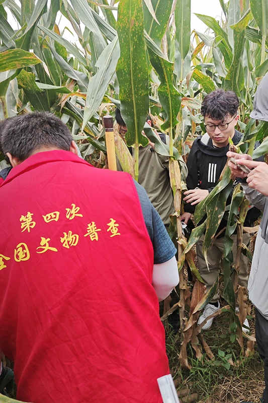 普查隊員正在使用探鏟進行探測。中國文物報供圖