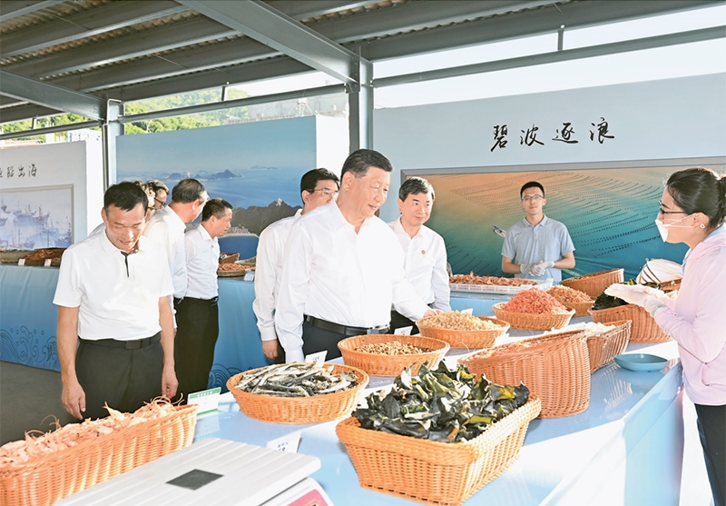 2024年10月15日至16日，中共中央總書(shū)記、國(guó)家主席、中央軍委主席習(xí)近平在福建考察。這是15日下午，習(xí)近平在漳州市東山縣陳城鎮(zhèn)澳角村考察時(shí)，了解海鮮干貨和漁獲產(chǎn)品交易情況。 新華社記者 謝環(huán)馳/攝