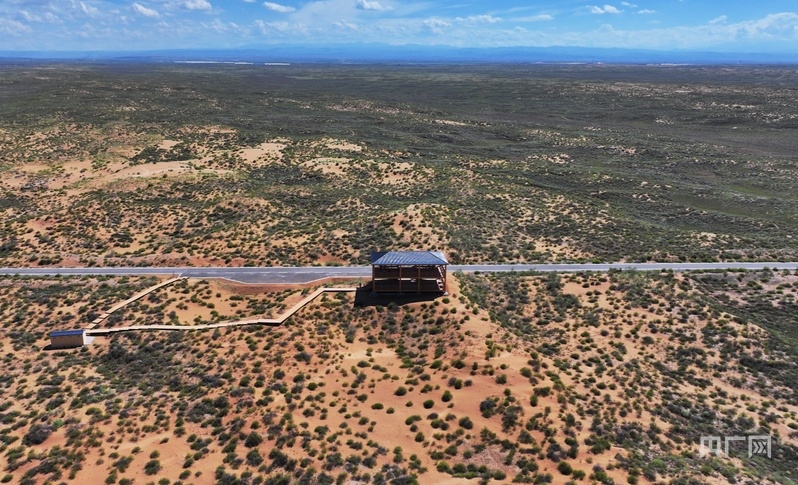 古浪縣一代代人治沙不息，讓綠色向沙漠深處不斷延伸（央廣網(wǎng)記者 李紅軍 攝）