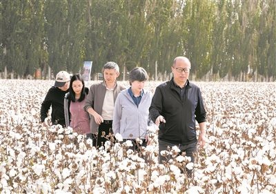 李召虎團隊成員在棉田了解試驗情況。 受訪單位供圖