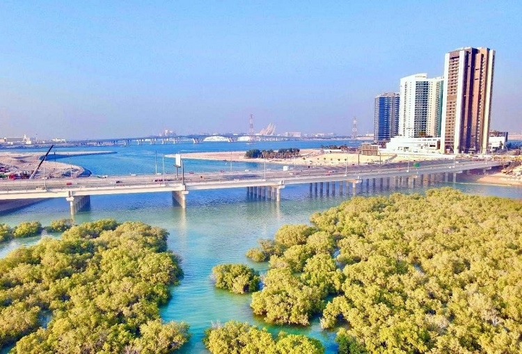 圖為瑞姆橋施工現(xiàn)場。中國土木供圖