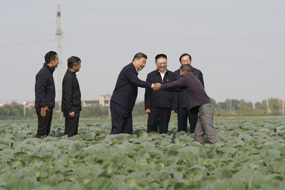 2024年11月5日，習近平在咸寧市嘉魚縣潘家灣鎮(zhèn)十里蔬菜長廊考察時，同菜農(nóng)親切交流。