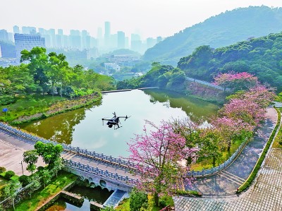 無(wú)人機(jī)在深圳塘朗山郊野公園里巡檢。新華社發(fā)