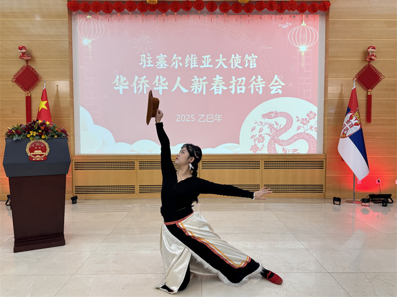 招待會現(xiàn)場表演。諾維薩德孔子學院供圖