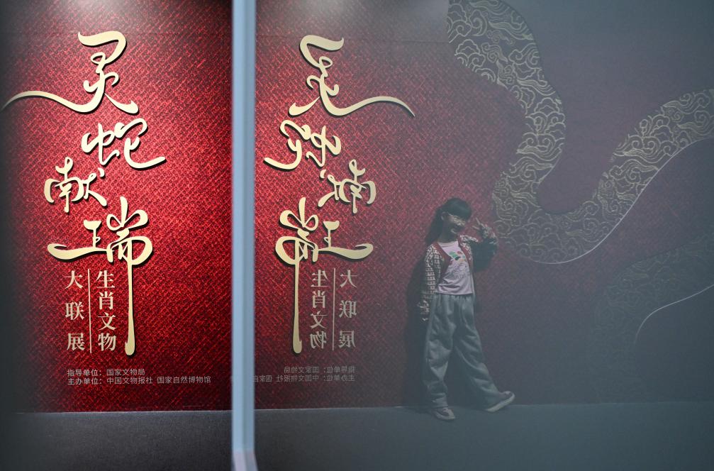 1月18日，一名小朋友在國家自然博物館舉辦的“靈蛇獻(xiàn)瑞——2025乙巳蛇年生肖文物大聯(lián)展”展覽中拍照留念。（新華社記者 陳鐘昊 攝）