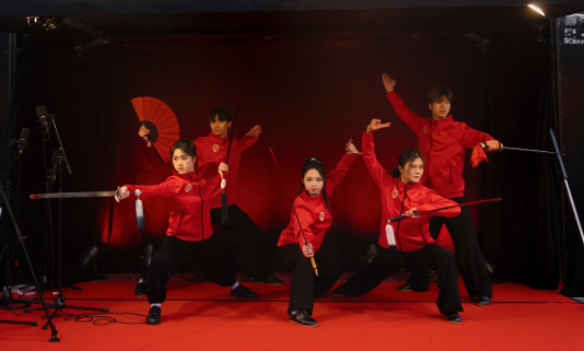 武術(shù)表演。中國(guó)駐芬蘭大使館供圖
