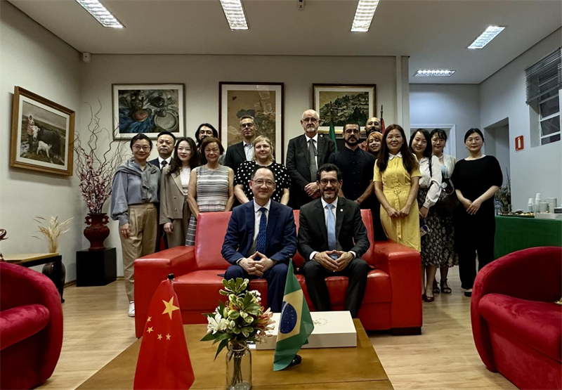 圖為參加座談會的來賓合影留念。 圣保羅州立大學孔子學院供圖