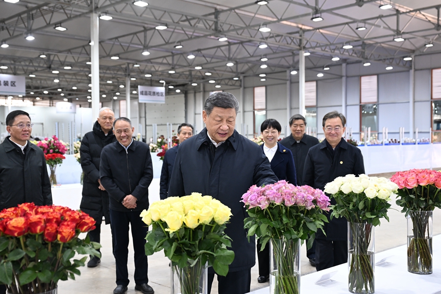 △3月19日下午，習(xí)近平總書記在云南麗江現(xiàn)代花卉產(chǎn)業(yè)園展廳考察時(shí)，察看鮮切花品種展示。