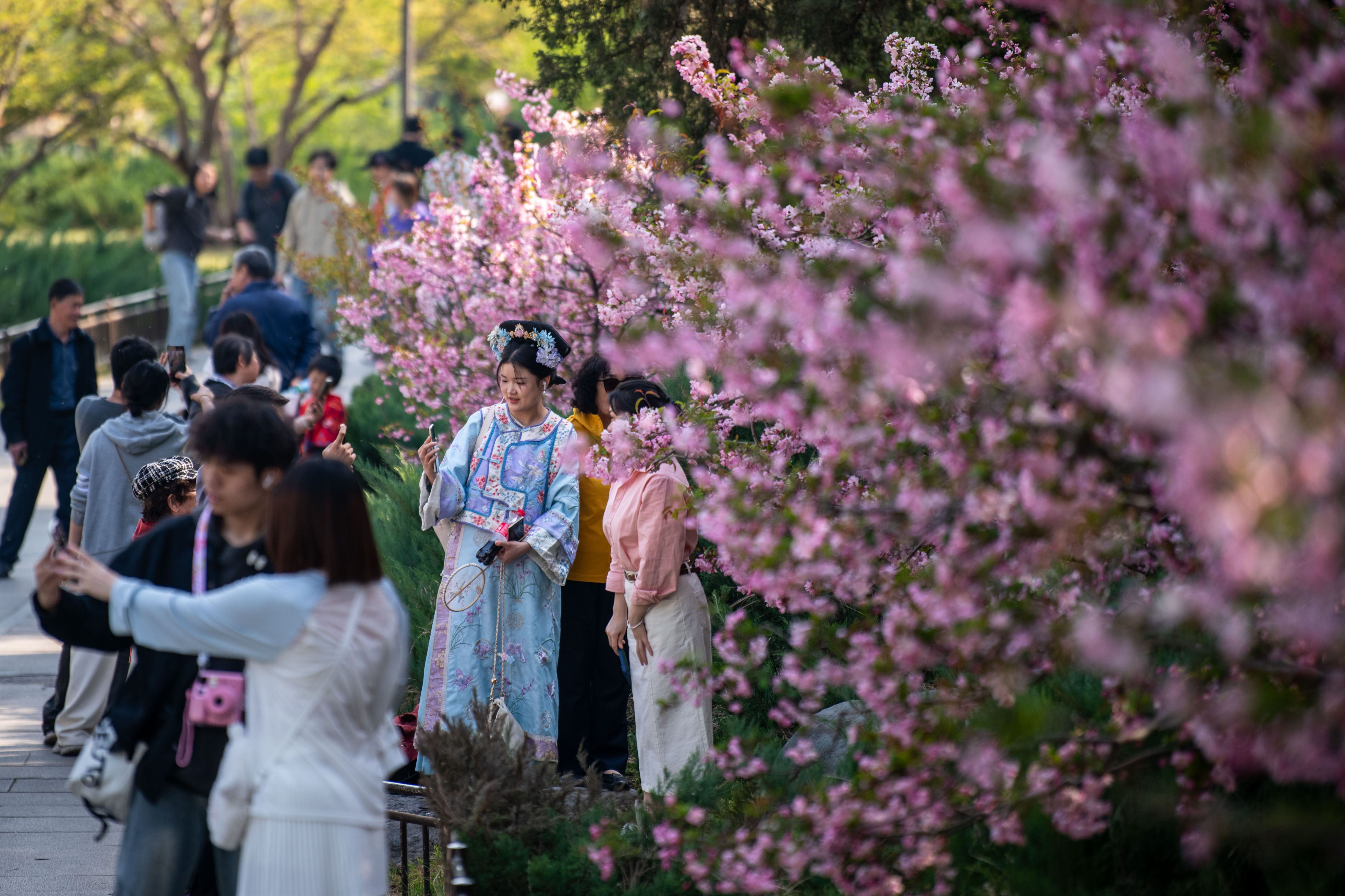 2025年4月6日，北京北海公園，滿園春色醉游人。人民網(wǎng)記者 翁奇羽攝