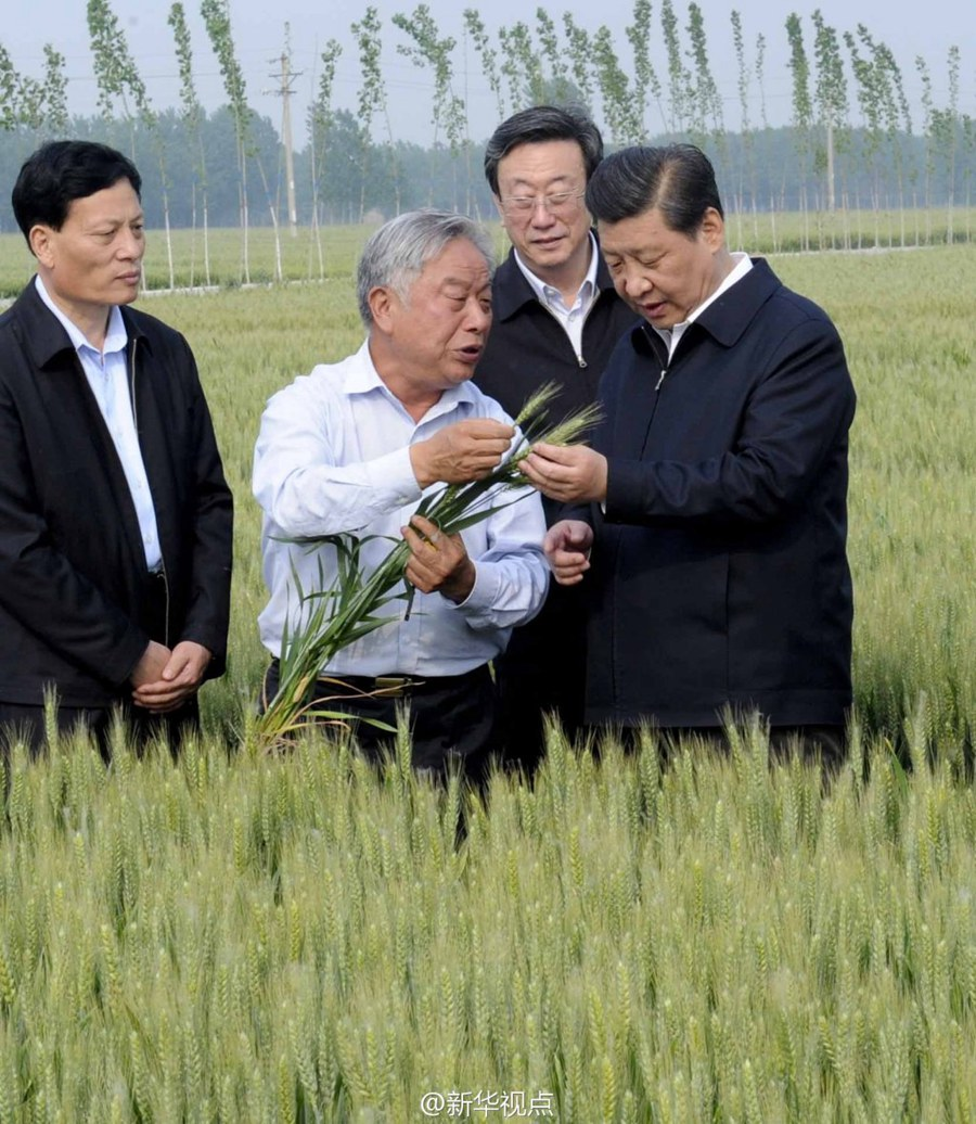 2014年5月，習(xí)近平總書記在河南省尉氏縣張市鎮(zhèn)高標(biāo)準(zhǔn)糧田察看小麥長勢。