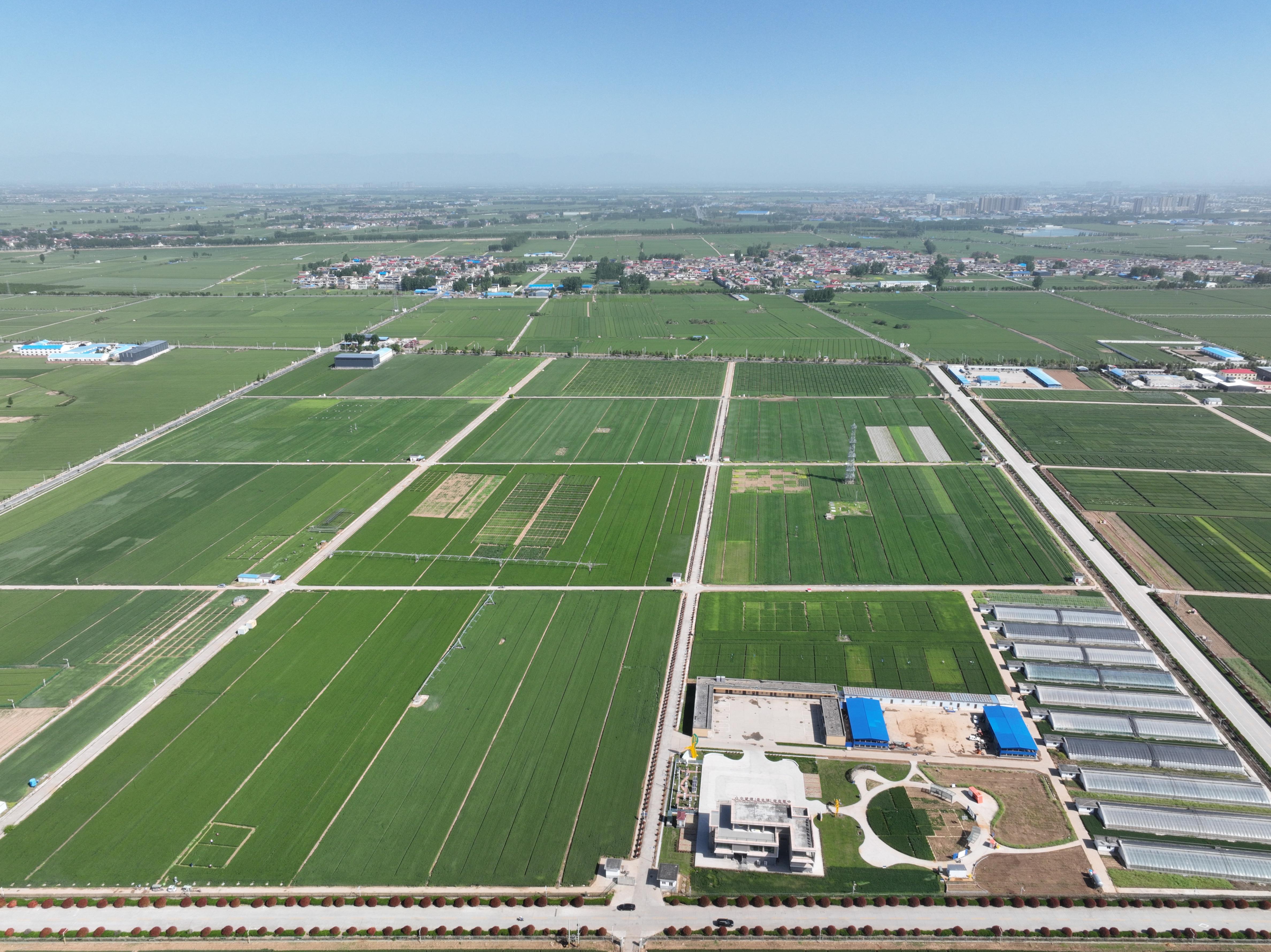 俯瞰水利部灌溉試驗(yàn)總站試驗(yàn)研究基地。受訪者供圖