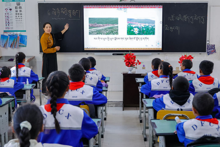 2024年9月27日，在四川省甘孜藏族自治州道孚縣城關(guān)第一完全小學(xué)，采取“藏加模式”教學(xué)的五年級一班的藏語文課上，準(zhǔn)木周老師指導(dǎo)藏族學(xué)生以家鄉(xiāng)草原風(fēng)物為主題寫作藏語文作文。新華社記者 沈伯韓 攝